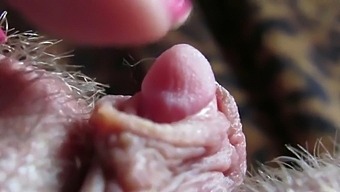 Intense Close-Up Of My Throbbing And Massive Clitoris Head