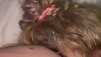 My Apologies, Let Me Give You A Blowjob